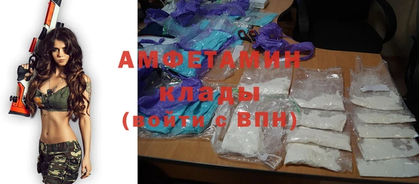 молекула духа Сатка
